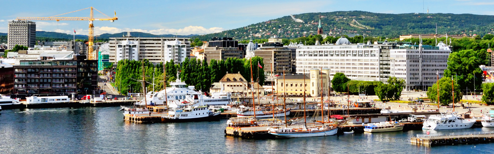 Many ships are sitting in a harbor in front of several tall buildings, and one grassy hill looms behind the city. 